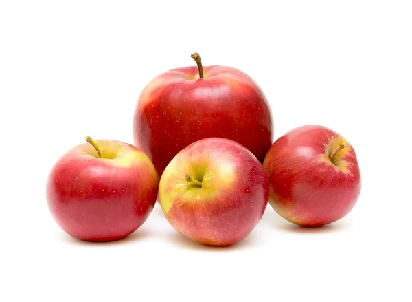 Cuatro manzanas rojas sobre fondo blanco — Foto de Stock