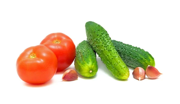 Tomates, pepinos e alho sobre um fundo branco — Fotografia de Stock