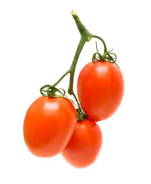 Tomatenstrauß isoliert auf weißem Hintergrund — Stockfoto