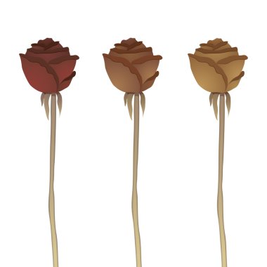 Dried roses clipart