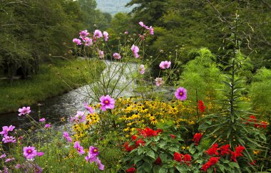 Flower bed in mountains