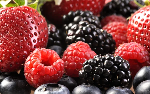 Berry mix — Stock Photo, Image