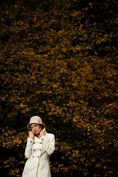 Attractive woman in evening autumn park — Stok fotoğraf