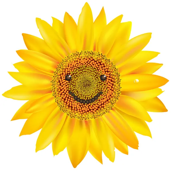 Lächelnde Sonnenblume — Stockvektor