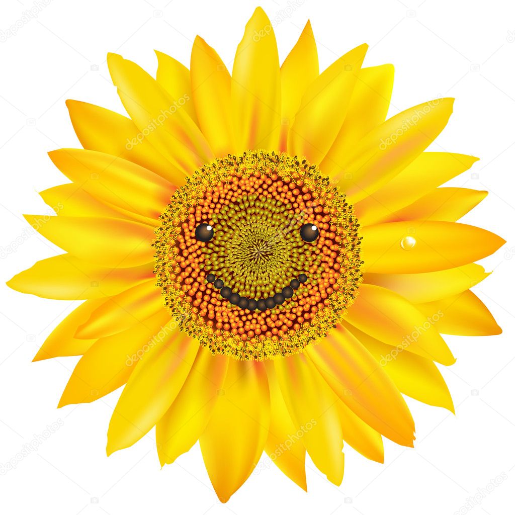 yellow sunflower clipart outline