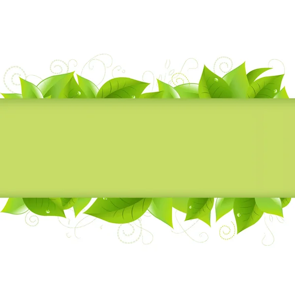 Grüne Blätter — Stockvektor
