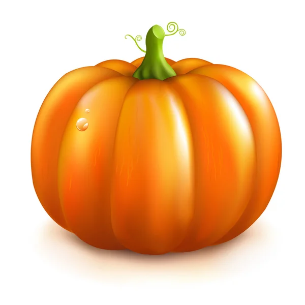 Orange Pumpkin — Stock Vector
