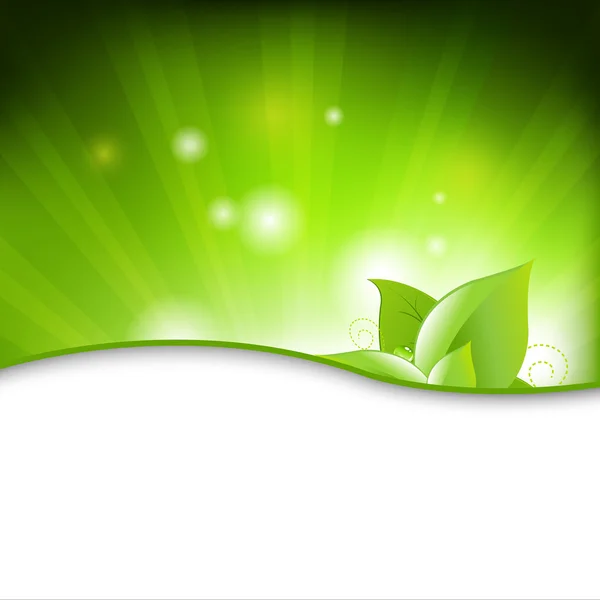 Vert éco fond avec des feuilles — Image vectorielle