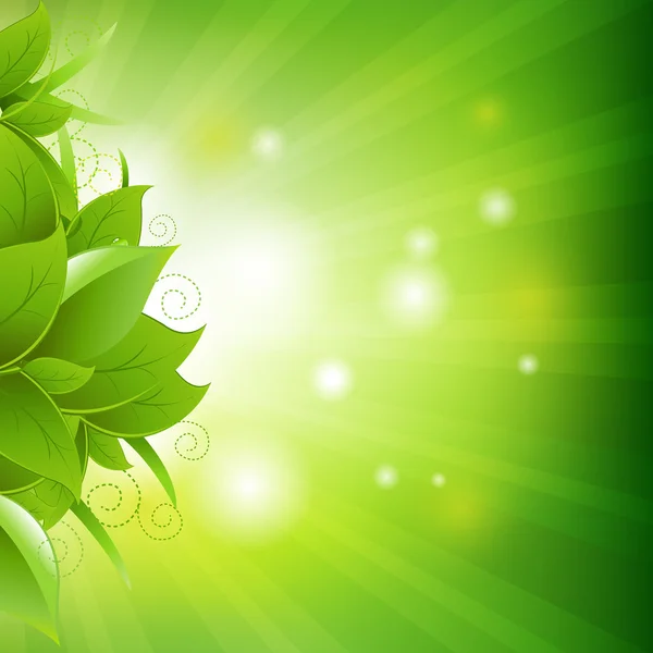 Grünes Plakat mit Blättern mit Gras — Stockvektor