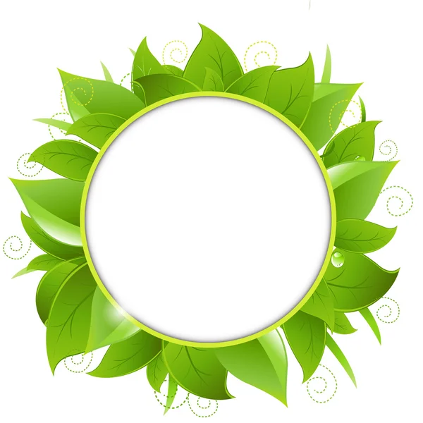 Frame From Green Leaves — Stock Vector