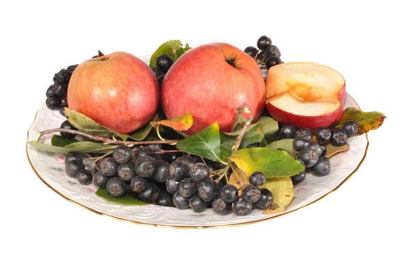 Mountain ash and apples on a plate — Stock Photo, Image