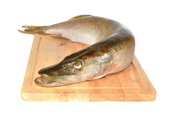 Pește o știucă pe o placă — Fotografie, imagine de stoc