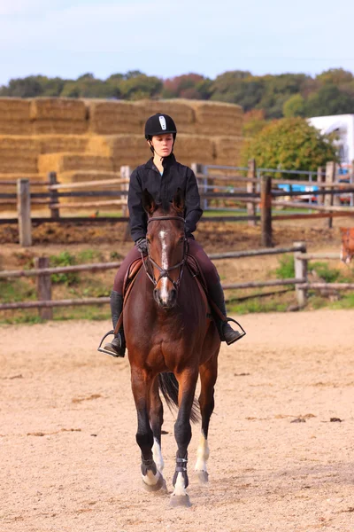 Bella giovane donna cavaliere in una gara di equitazione — Foto Stock