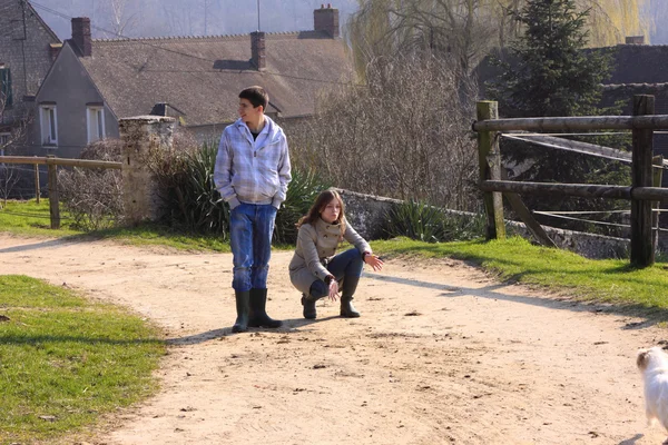 Um menino e uma menina brincando com um cão no campo — Fotografia de Stock