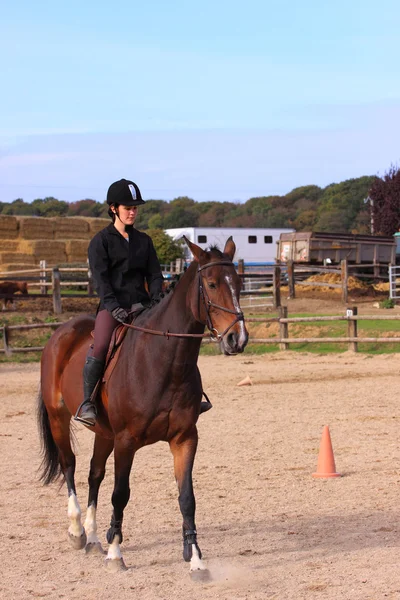 Bonita joven jinete en un concurso de equitación —  Fotos de Stock