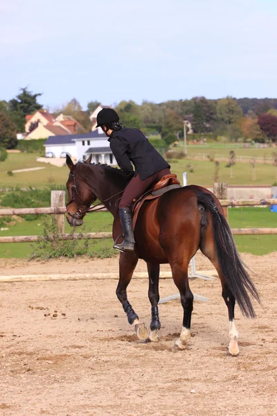 Bonita joven jinete en un concurso de equitación —  Fotos de Stock