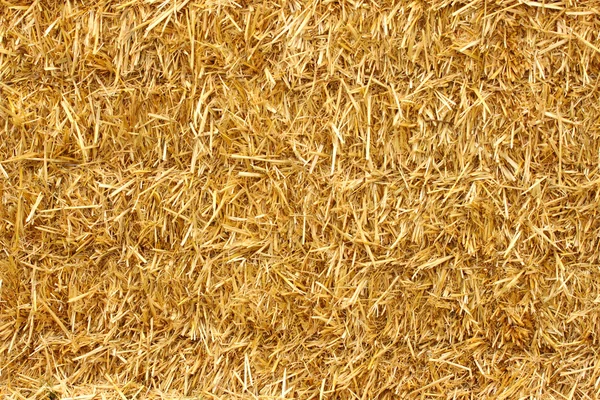 一个堆栈中太阳的稻草的特写 — 图库照片