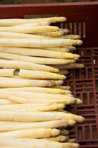Raccolta deliziosi asparagi freschi tutti in vendita — Foto Stock