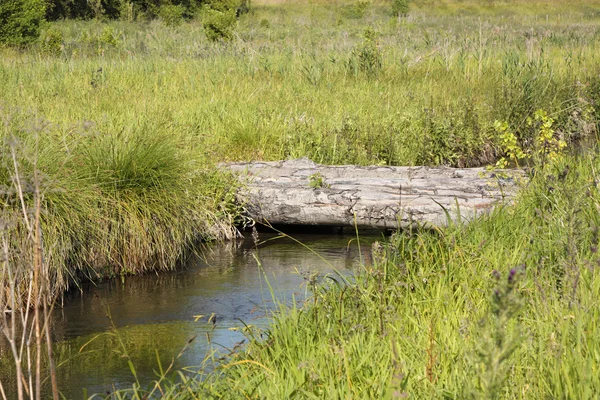 Bridge made of logs of wood over a small river — Stock Image Bridge made of logs of wood over a small river Royalty Free Stock Photos
