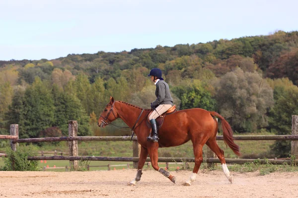 Bonita joven jinete en un concurso de equitación — Foto de Stock