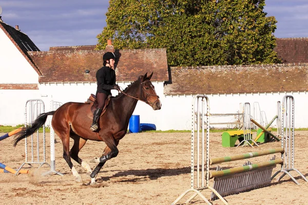 Bonita joven jinete en un concurso de equitación — Foto de Stock