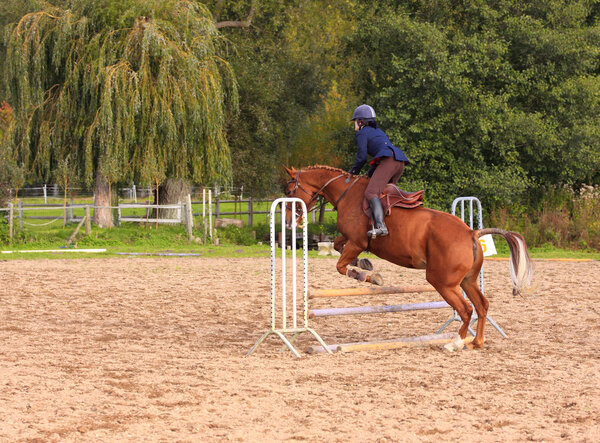 Pretty young woman rider in a competition riding