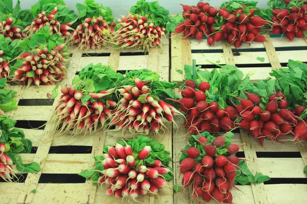 Bunches of fresh radishes on a market stall — Stock Photo, Image