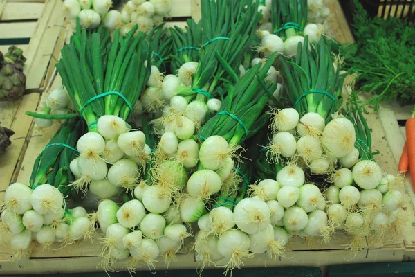 Buquês de cebolas brancas frescas em uma tenda de mercado — Fotografia de Stock