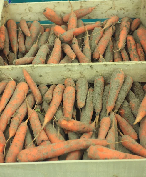 Zanahorias arena fresca en un puesto de mercado —  Fotos de Stock