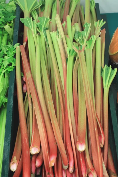 Branch of fresh rhubarb on a market stall — Stock Photo, Image