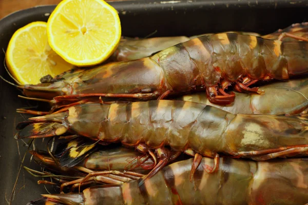 大的新鲜虎虾，国王虾，虾 — 图库照片