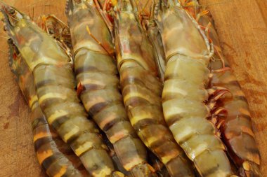 Big fresh tiger prawns, king prawns, shrimp clipart