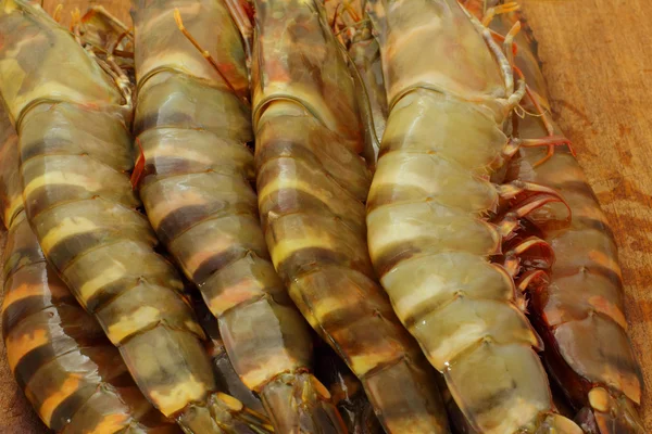 Grosses crevettes tigrées fraîches, crevettes royales, crevettes — Photo