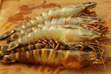 Big fresh tiger prawns, king prawns, shrimp clipart