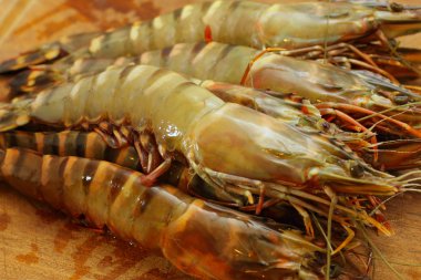 Big fresh tiger prawns, king prawns, shrimp clipart