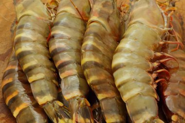 Big fresh tiger prawns, king prawns, shrimp clipart