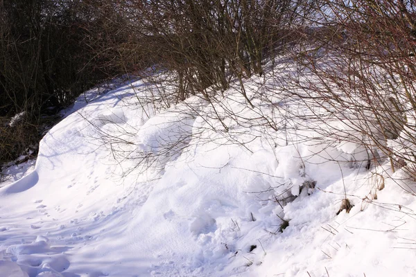 Campaña bajo el sol y la nieve de invierno —  Fotos de Stock