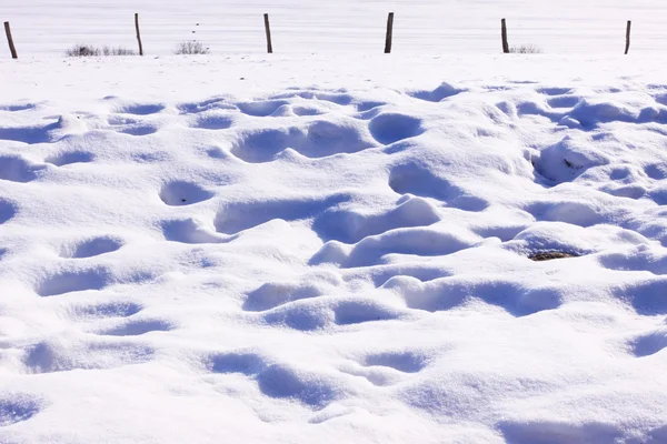 Campagne onder de zon en de winter sneeuw — Stockfoto