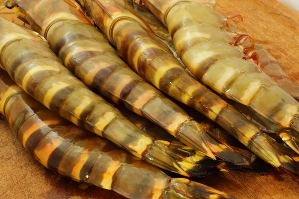 Grosses crevettes tigrées fraîches, crevettes royales, crevettes — Photo