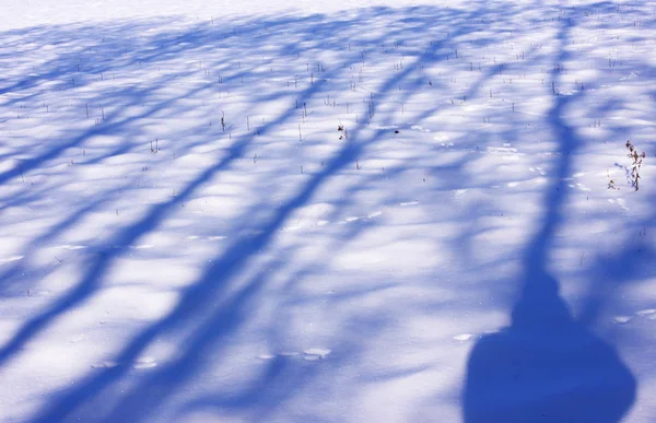 Campagne onder de zon en de winter sneeuw — Stockfoto