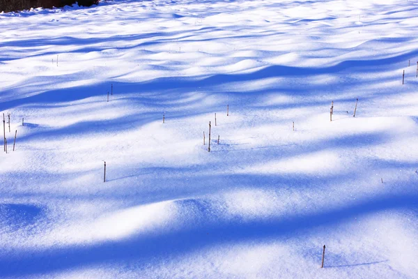 Campaña bajo el sol y la nieve de invierno —  Fotos de Stock