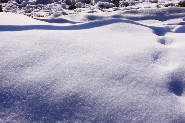 Кампанія під сонцем і зимовий сніг — стокове фото