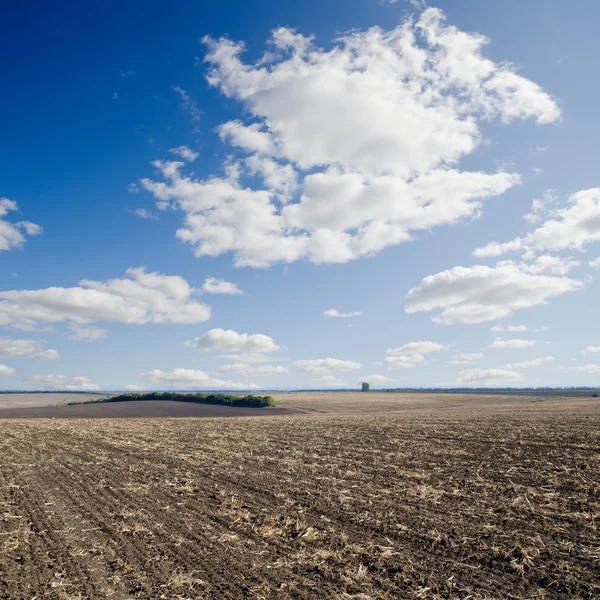 Zwarte veld na de oogst — Stockfoto