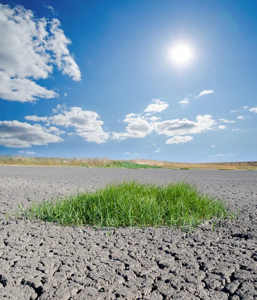 Sun over drought land — Stock Photo, Image