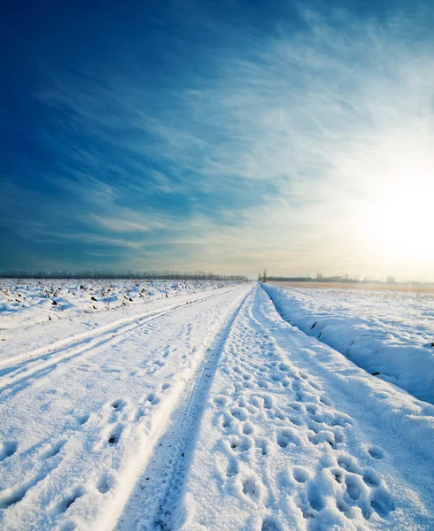 Vidéki úton hó alatt — Stock Fotó
