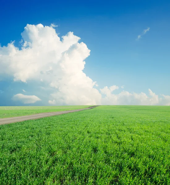 Green field and blue cloudy sky — Stock Photo, Image