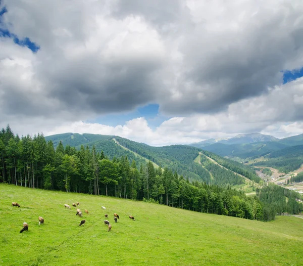 Yeşil dağ manzarası — Stok fotoğraf
