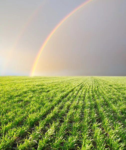 Landscape with a rainbow — Stock Photo, Image