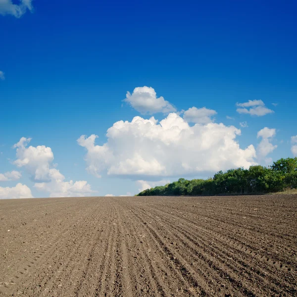 Campo arado preto sob o céu azul — Fotografia de Stock