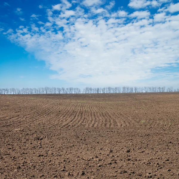 Campo arado preto sob céu azul profundo — Fotografia de Stock